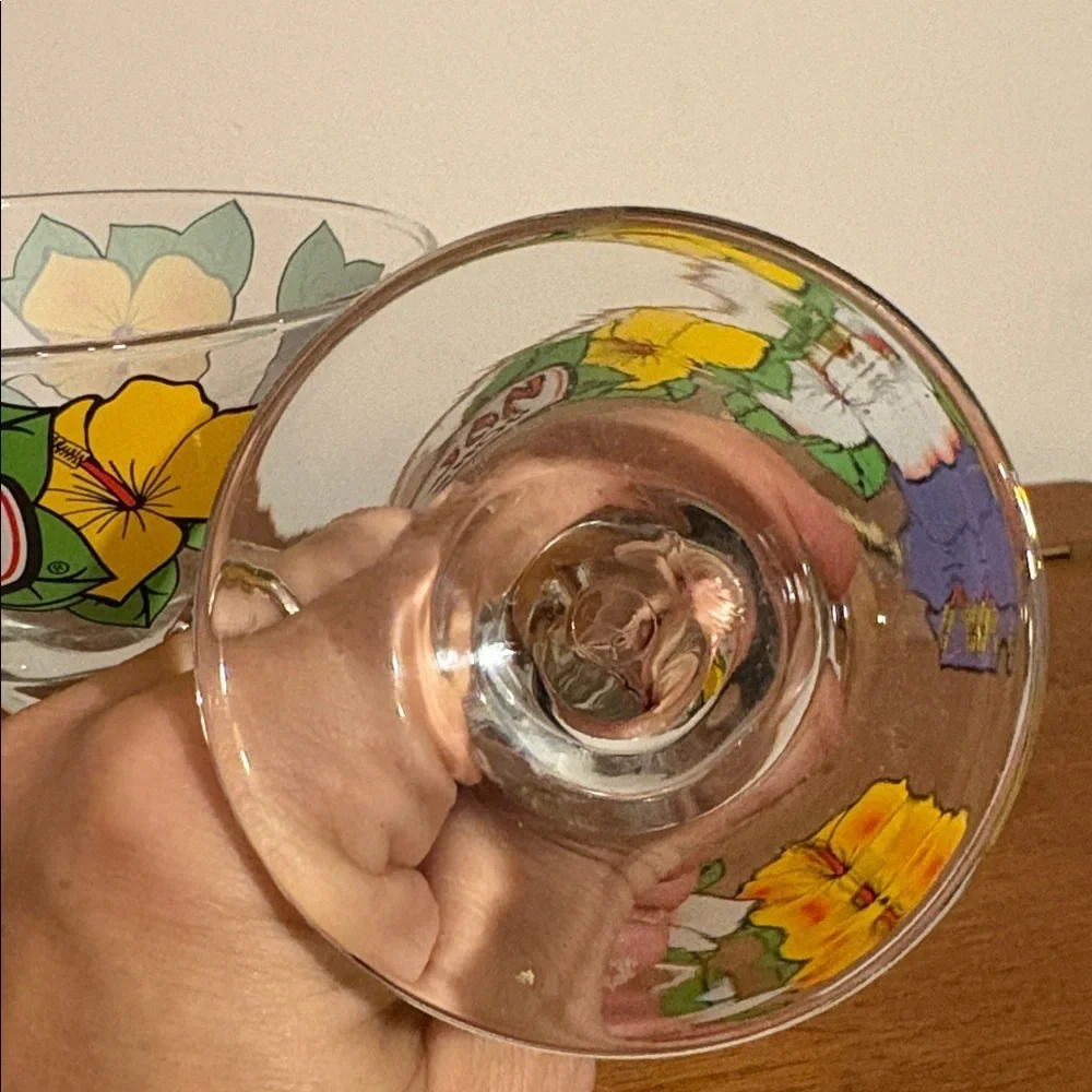 Y2K Era Ron Jon Surf Shop Retro Bent Stem Martini Glass 2 Matching Hibiscus Cute